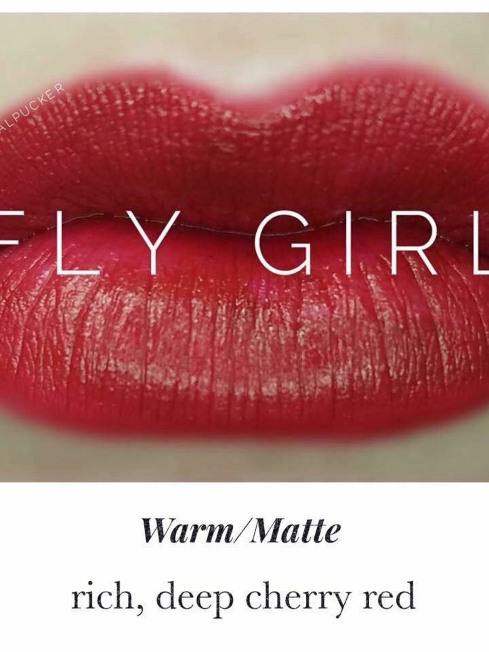 Lipsense by SeneGence new never opened full sized long lasting lipstickFly Girl